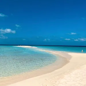 check availability